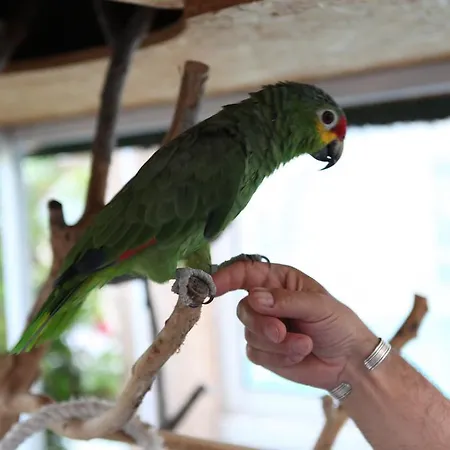 & Gil De France Cap D'agde 酒店