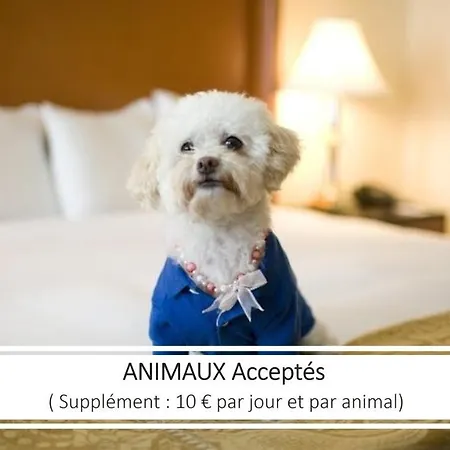 & Gil De France Cap D'agde 酒店 阿格德