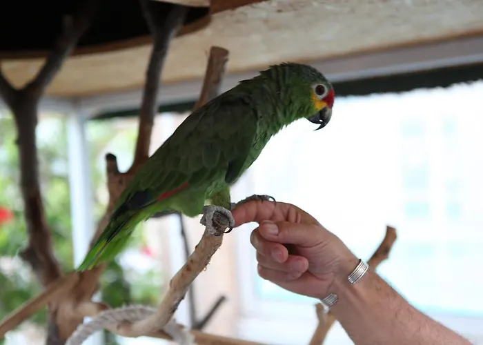 & Gil De France Cap D'agde Hotell