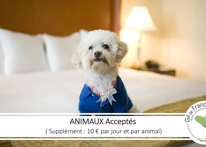 Hotel&spa Gil De France Cap D'agde Hotel Agde